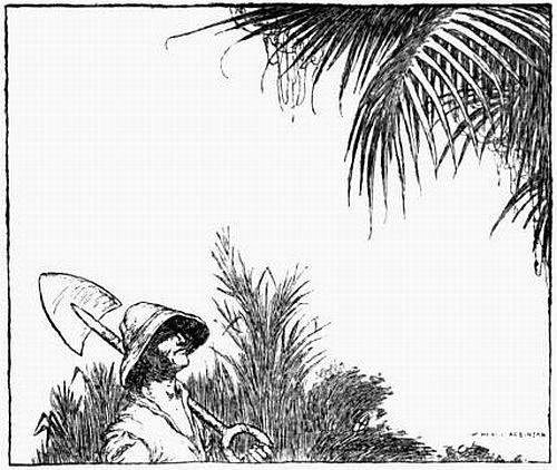 Illustration from the original edition