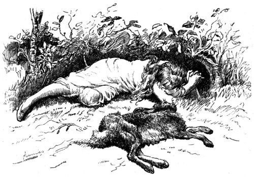 Illustration from the original edition
