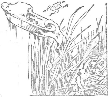 Rescuing the pie