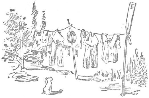 Washing line