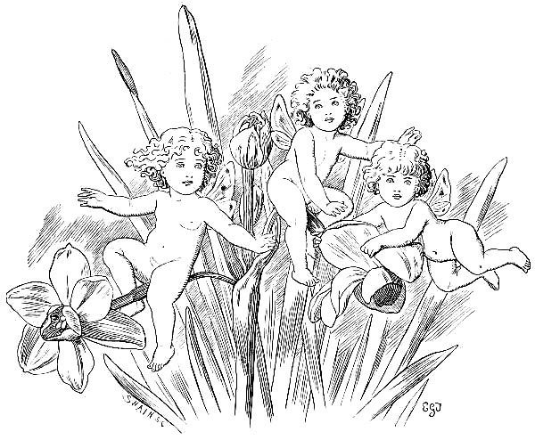 Illustration from the original edition