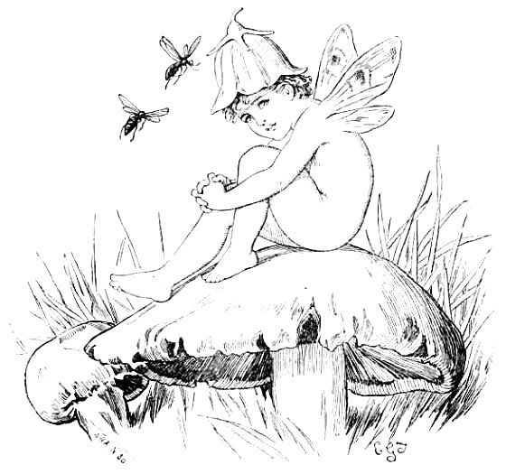 Illustration from the original edition