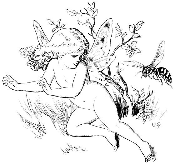 Illustration from the original edition