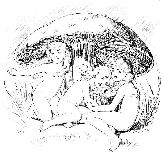 Illustration from the original edition