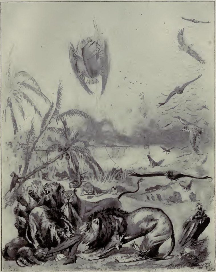 Illustration from the original edition