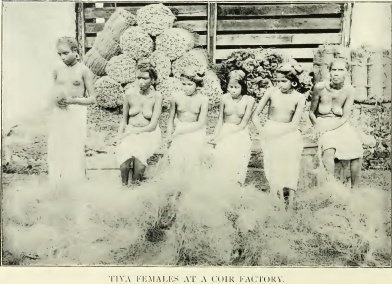 Image14