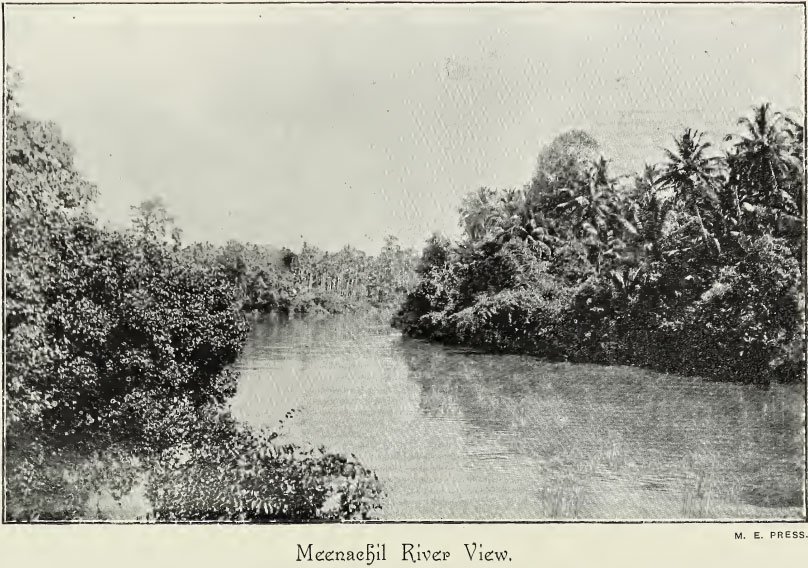 Image25