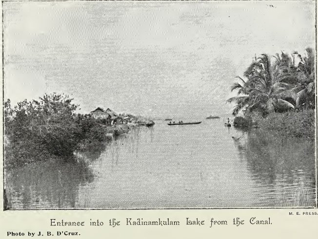 Image27