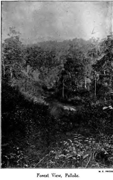 Image45