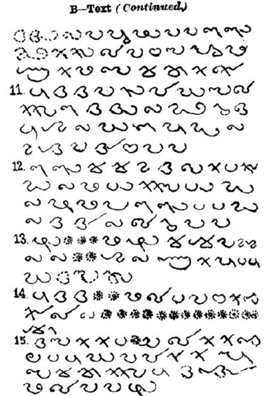 Image61