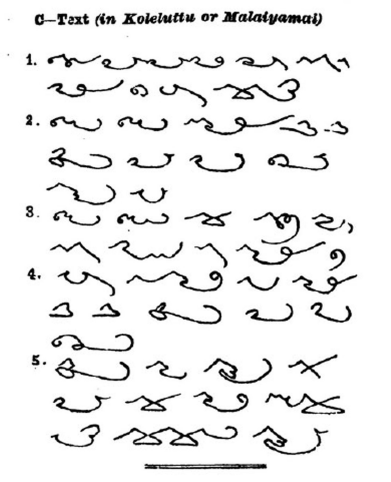 Image66