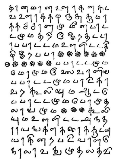Image73