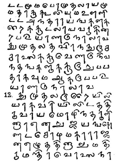 Image75