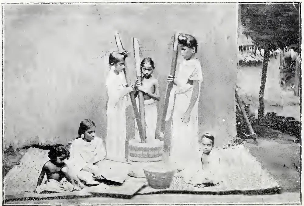 Nayar girls pounding paddy.