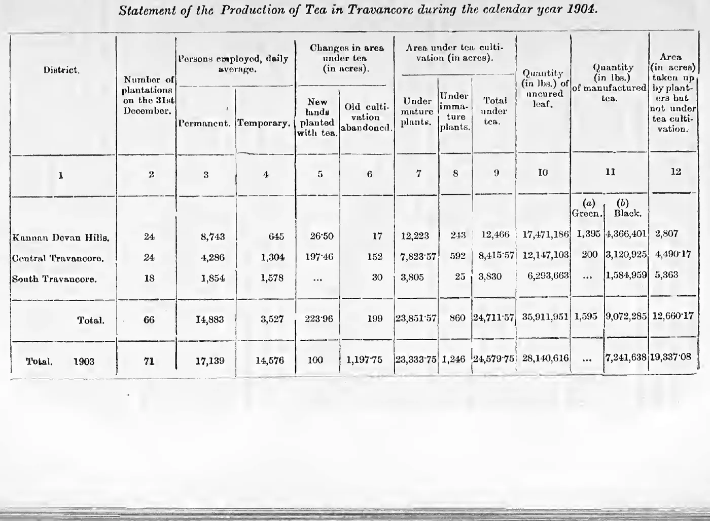 Statement of the Production of Tea in Travancore during the calendar year 1904.