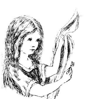 Illustration from the original edition
