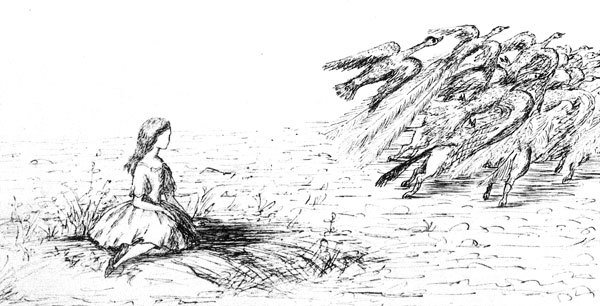 Illustration from the original edition