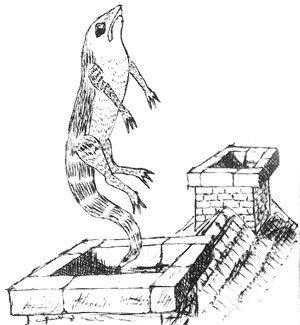 Illustration from the original edition