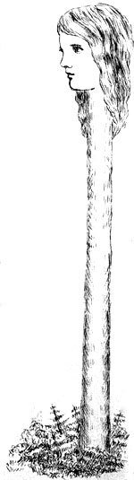 Illustration from the original edition