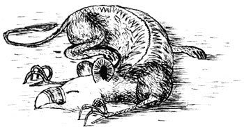 Illustration from the original edition
