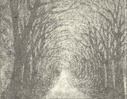 Illustration from the original edition