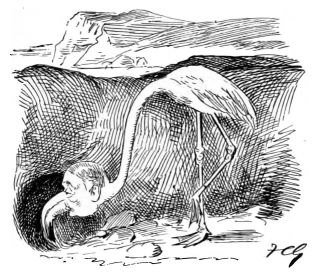 Illustration from the original edition