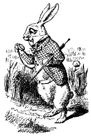 Image2