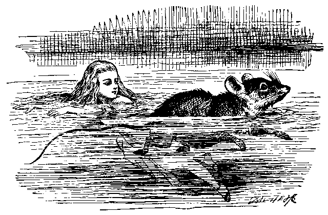 Image6