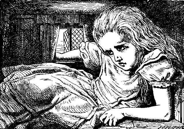 Image9