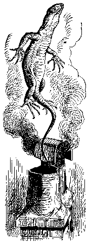 Image11