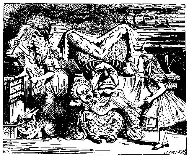 Image19