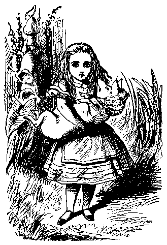 Image20