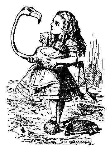 Image28