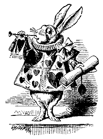 Image35